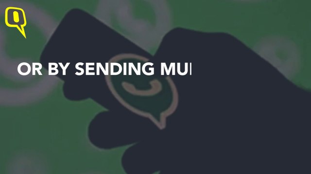 Aadhaar-Social Media Linking: Interview with Antony Rubin on Why He Filed The PIL & Privacy Concerns | The Quint