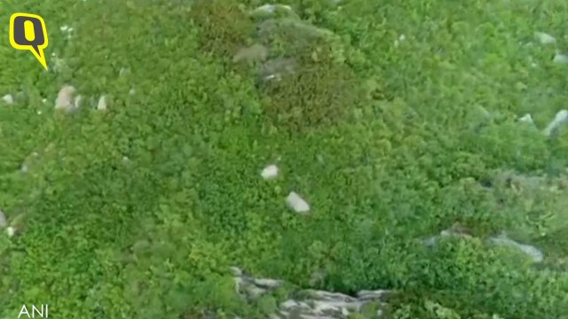 Indian Army Releases Video of Bodies After Failed Pak Infiltration Bid