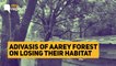 11SEPT_Aarey Deforestation