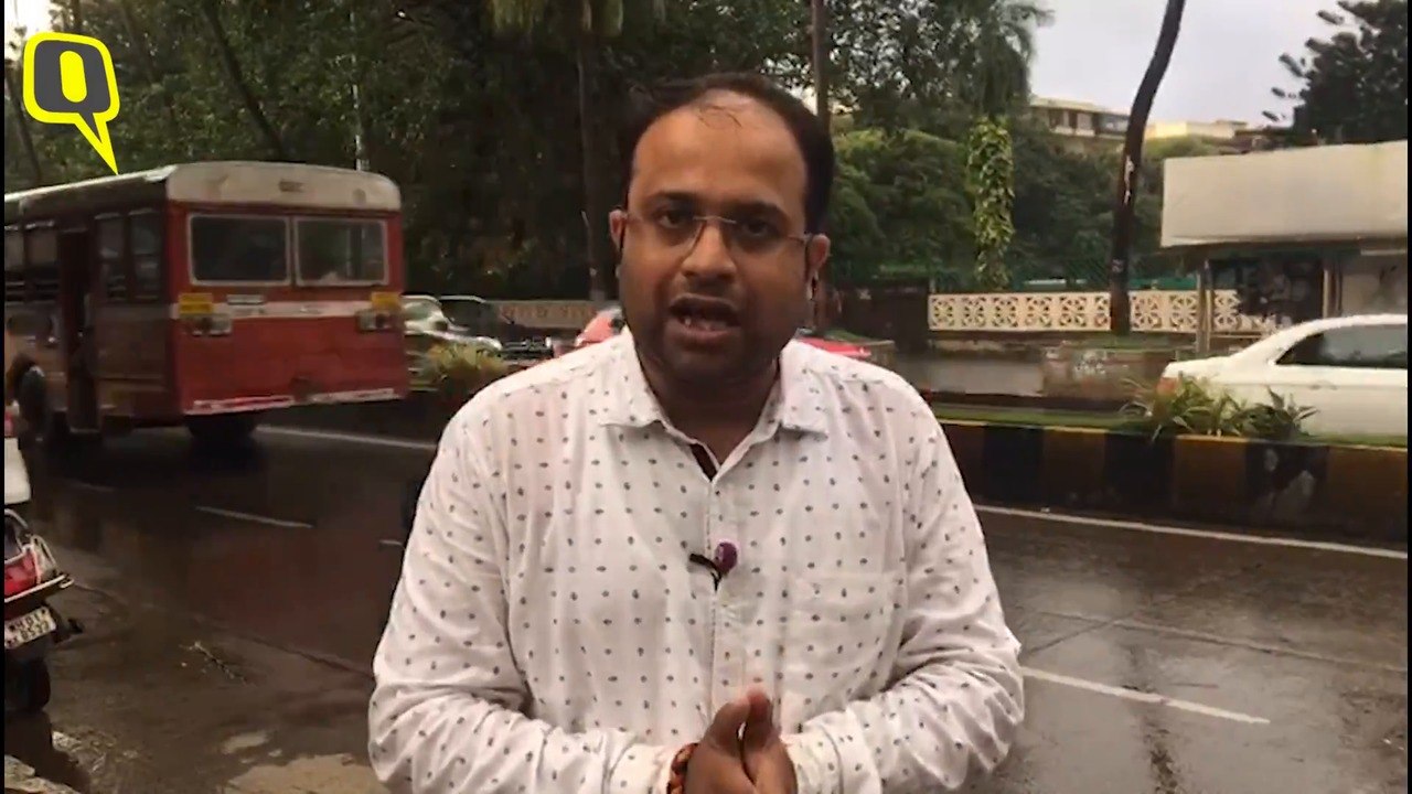 MNS Might Not Contest Assembly Elections 2019: Sources