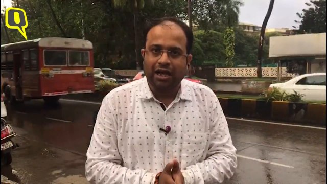 MNS Might Not Contest Assembly Elections 2019: Sources