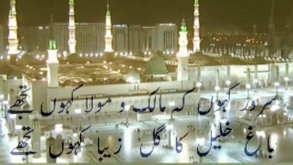 sarvar kahunke malik o moula kahu tujhe#nathe nabi