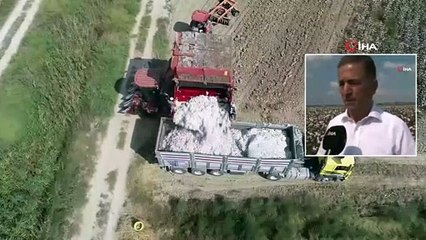Adana’da 'Beyaz Altın' Hasadı Havadan Görüntülendi