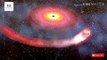 Gravitational waves detected for first time from newly born black hole: Study