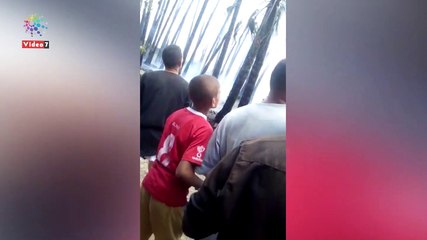 السيطرة على حريق هائل بمزرعة نخل بقرية شوشاى بالمنوفية