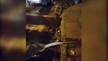 Vazamento de água em cano no Santa Cruz gera reclamação de moradores
