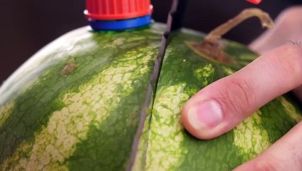 4 ASTONISHING LIFE HACKS AND DIY WITH WATERMELON