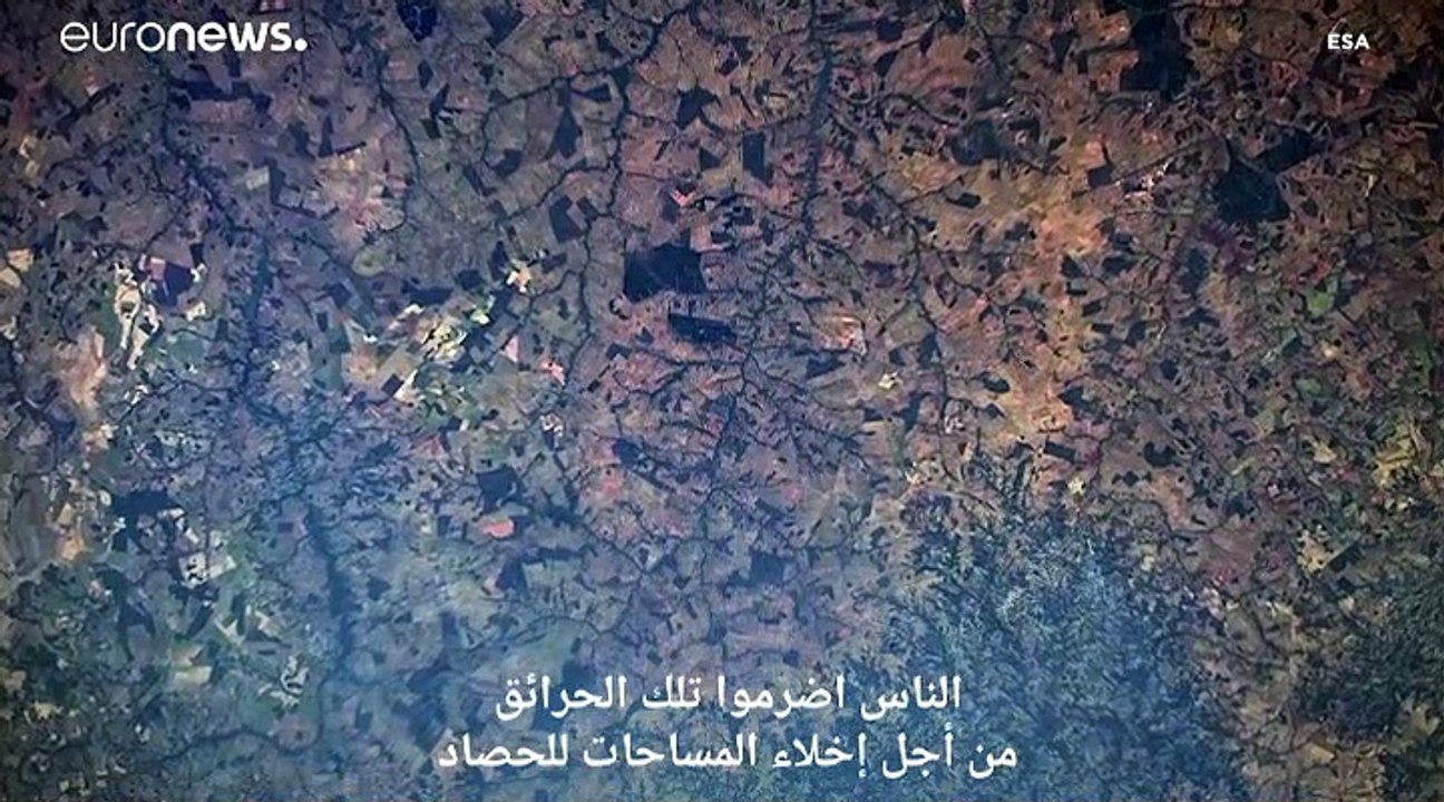 شاهد: إعصار دوريان وحرائق الأمازون: كوارث توثقه...