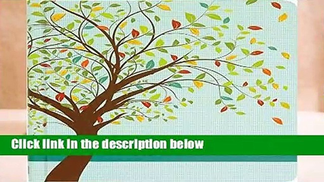 Our Family Tree  Best Sellers Rank : #1