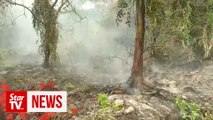 Four Malaysian firms behind fires at plantations, claims Indonesia