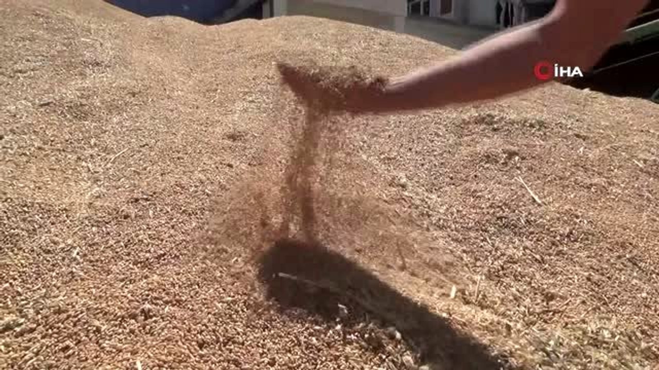 Uzmanlardan ithal tohum uyarısı