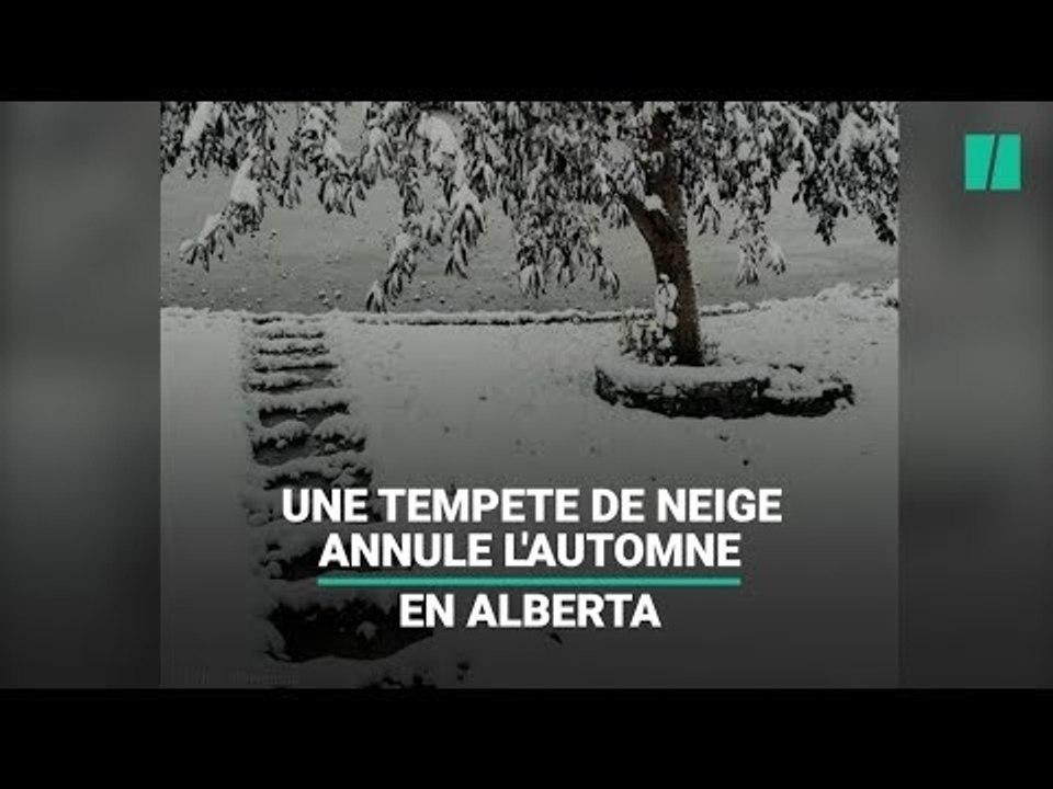 Au Canada, une tempête de neige a annulé l'automne