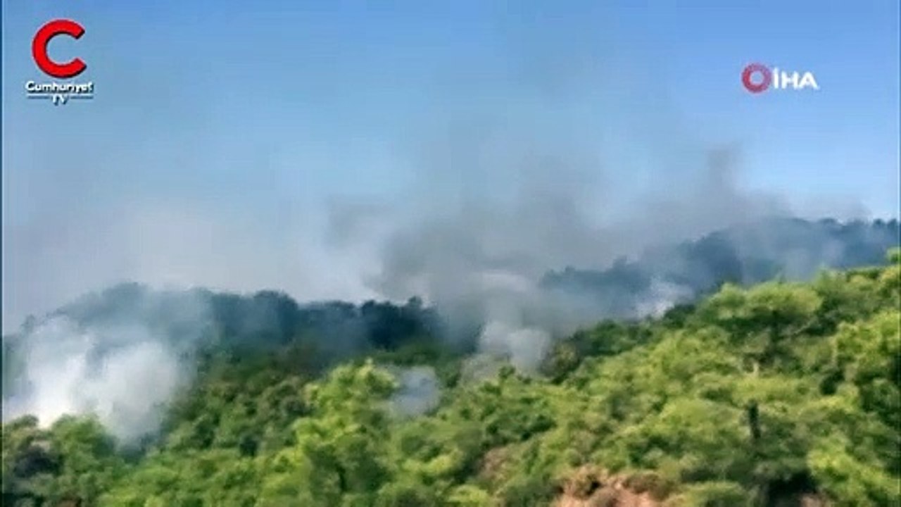 Muğla'da orman yangını