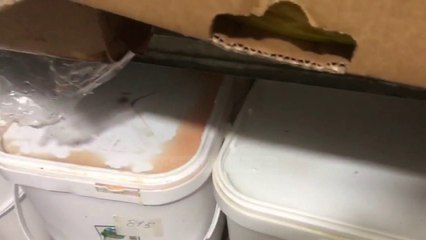 Bllokohet mish pule nga Brazili i pasigurt