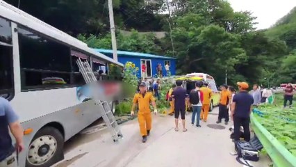 경북 울릉에서 관광버스 정면 충돌 34명 부상 / YTN