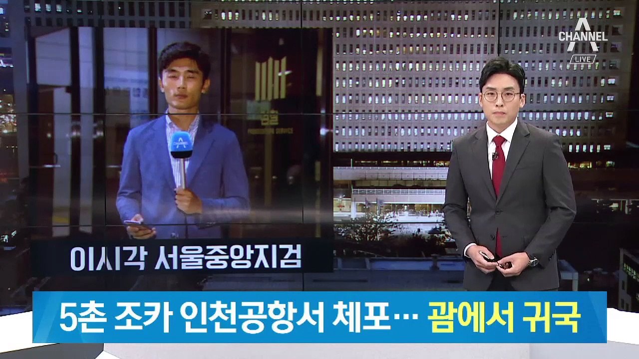 검찰, 조국 5촌 조카 인천공항서 체포…서울중앙지검 압송