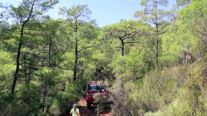 Orman yangını (4) - MUĞLA