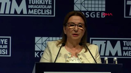 Yurtdışı pazar destek programı