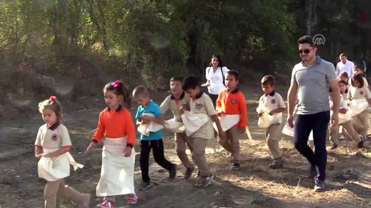 310 çocuk "siyez buğdayı ekerek" rekor kırdı