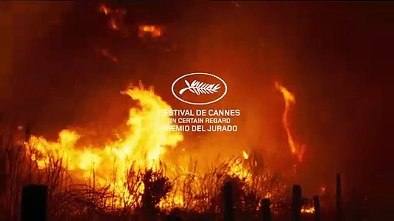 Lo que arde Película