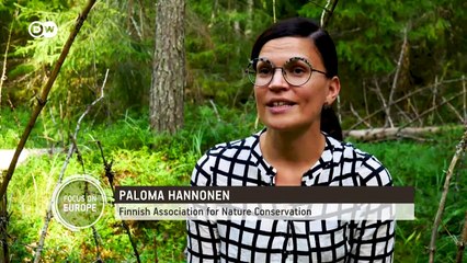 Finland: Resisting deforestation in a land a lumber | Focus on Europe