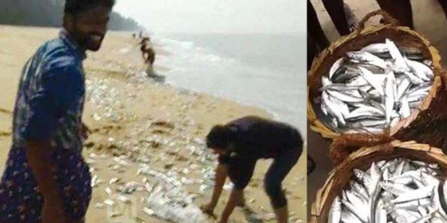 Sea costs in Kasargod  witnessed a chakara last day | Oneindia Malayalam