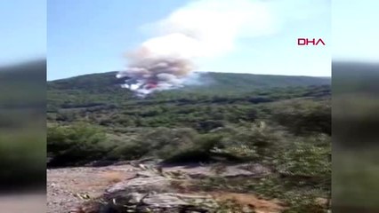 Muğla milas'ta orman yangını
