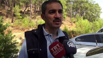 Ortaca ilçesinde çıkan orman yangını kontrol altına alındı