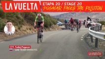 Pogacar contre le peloton / Pogacar against the peloton - Étape 20 / Stage 20 | La Vuelta 19