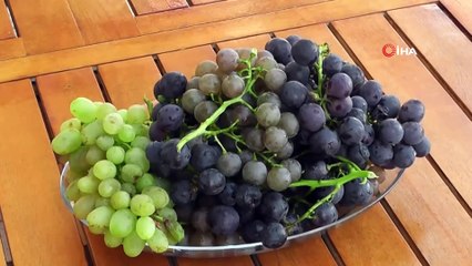 Kayseri'de Bağ Bozumu Sonrasında Pekmez Kazanları Kaynamaya Başladı