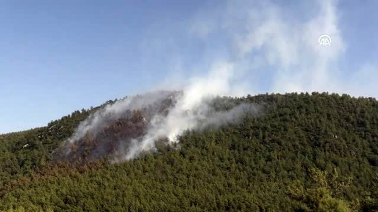 Bodrum'da orman yangını (2)