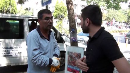 Karton kutuda bulunan kedilere hayvansever avukat sahip çıktı - AFYONKARAHİSAR