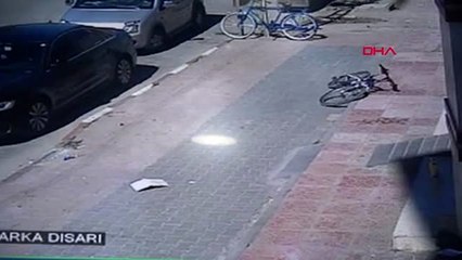 Van erciş merkezine yaban domuzları indi