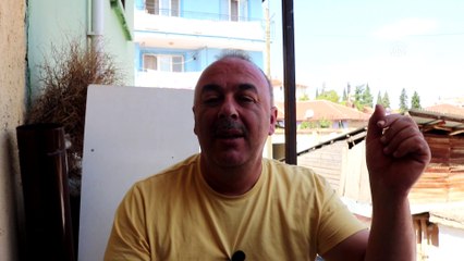 Sokak hayvanlarının zehirlendiği iddiası - DENİZLİ