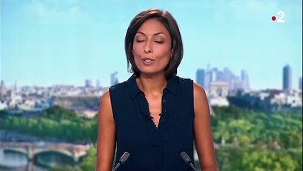 Fête de l'Humanité : rencontre entre Philippe Martinez et Jean-Paul Delevoye autour de la réforme des retraites