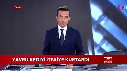 Yavru Kediyi İtfaiye Kurtardı