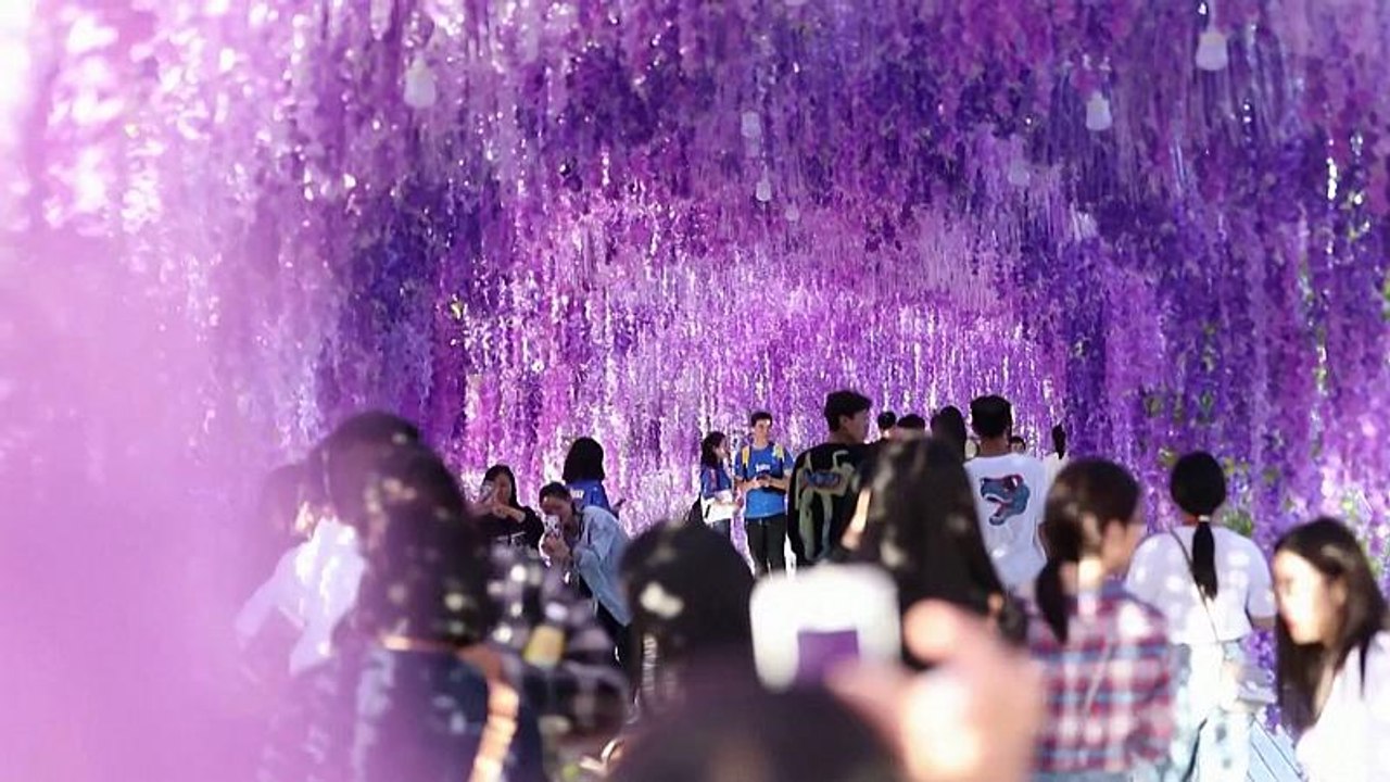 Schöne Bilder vom Mondfest in China