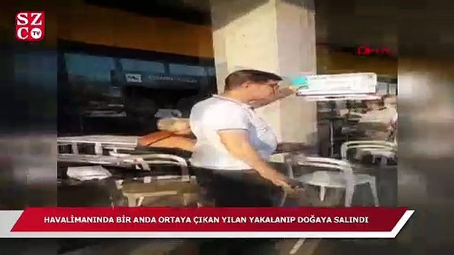 Havalimanında yılan paniği