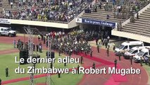 Le Zimbabwe et l'Afrique saluent le très controversé 