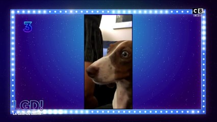 Le Top Darka : les vidéos les plus darka de la semaine !