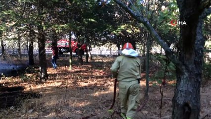15 Temmuz Şehitler ve Demokrasi Ormanı’nda Yangın