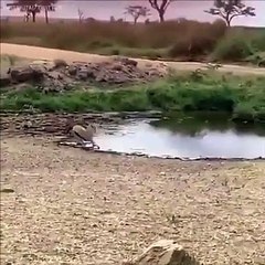 En zor zamanda yanınızdayız - www.irfantarhan.com