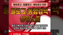 블로그광고업체〖LJVIRAL.COM〗기사광고