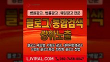 바이럴마케팅사례〖LJVIRAL.com〗상품광고