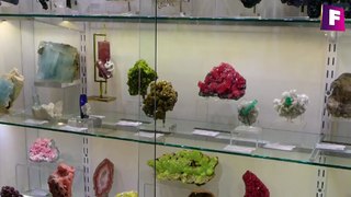 avance - minerales de México - foro de minerales