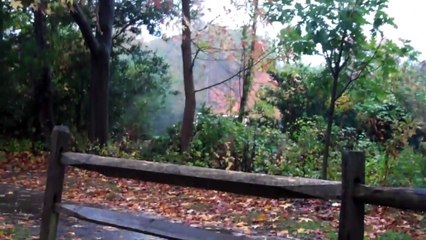 John Padovano - Live in Fair Haven, September 2018