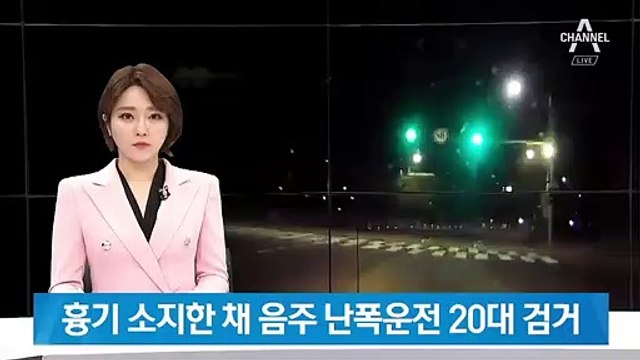 삼단봉 가스총 무장하고 음주 난폭운전…경찰 추격전 끝 검거