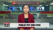 District offices open pet shelters during Chuseok