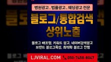 온라인마케팅〖LJVIRAL.COM〗블로그노출