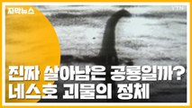 [자막뉴스] 정말 공룡이 살아있는 걸까?...네스호 괴물 정체 / YTN